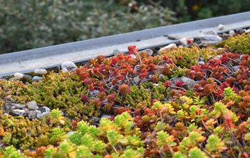 the cost of Morcombelake green roof installation