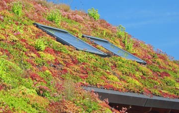 Morcombelake living roof systems