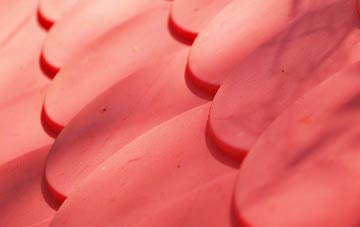 Morcombelake plastic roof costs