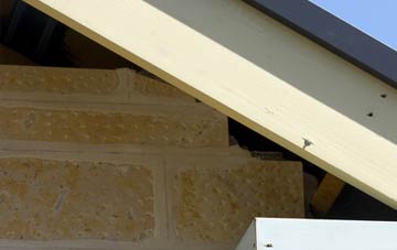 soffit repair Morcombelake