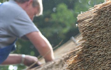 professional Morcombelake thatchers