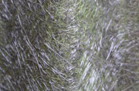 Morcombelake fibreglass roof work